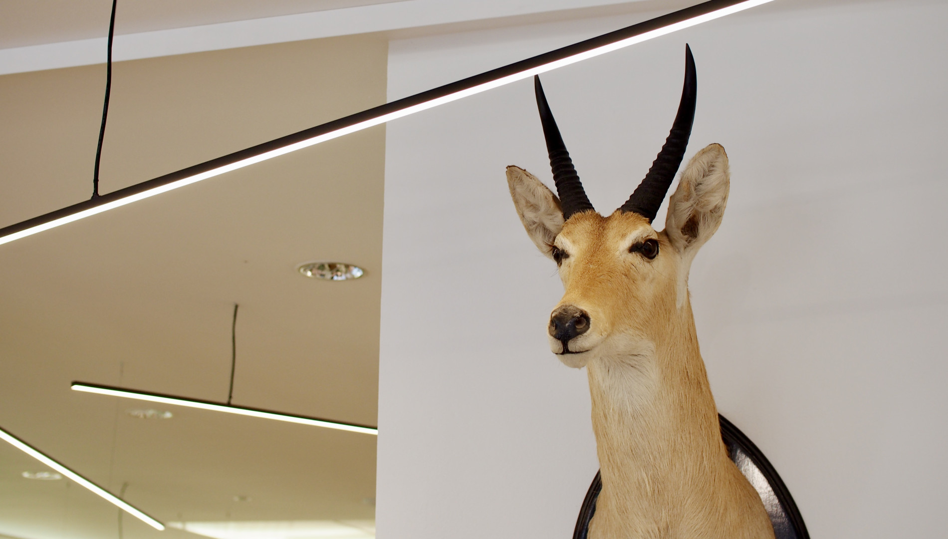 Büro der Designagentur das formt in München