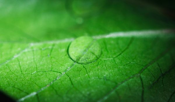 Ökologie trifft Ökonomie: Nachhaltigkeit in der Praxis